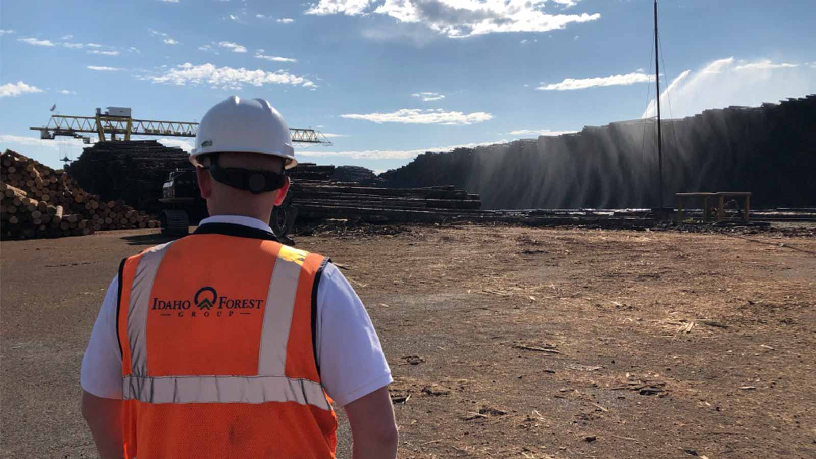 Overlooking-stockpiles-at-the-logyard