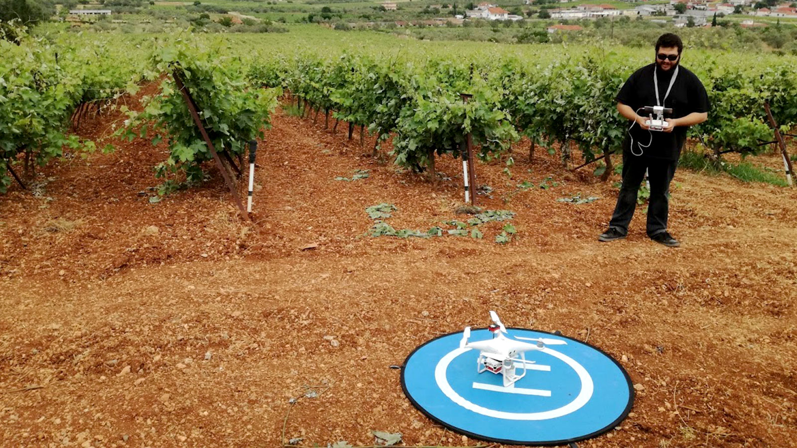 Mapping vineyards as a part of the BigDataGrapes project