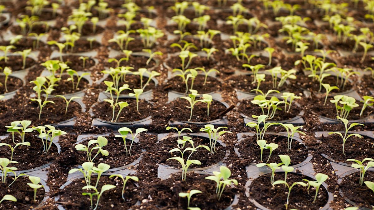 Pix4DFields 1 4 release blog header 1 4