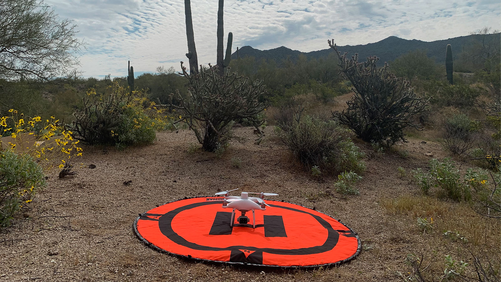 Taking off in the desert