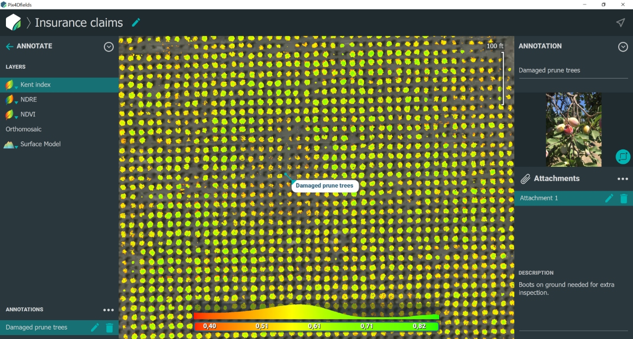 NDRE index map created from drone images for crop protection in agriculture