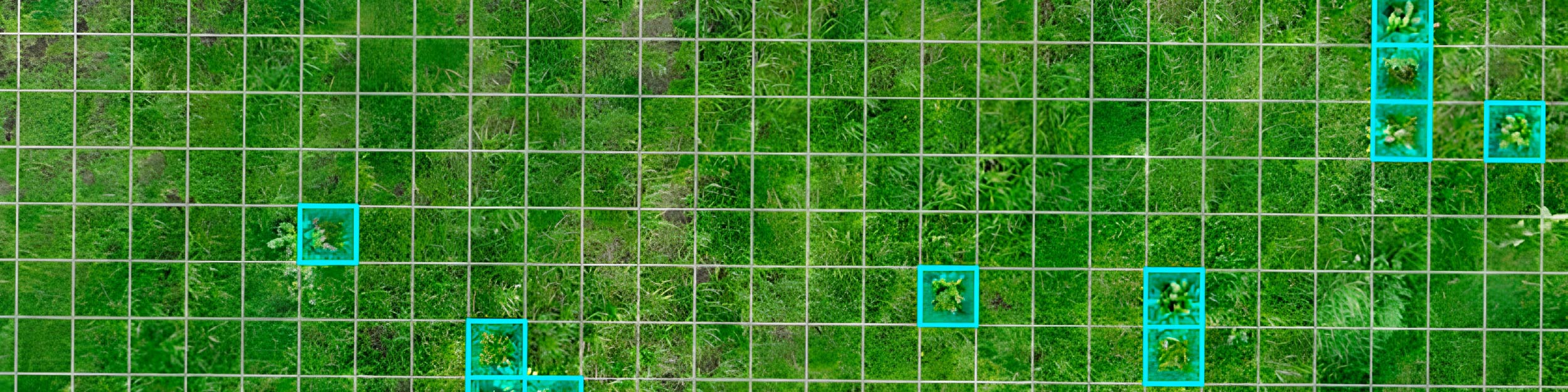 Vom Drohnenbild zur Applikationskarte noch am Feldrand