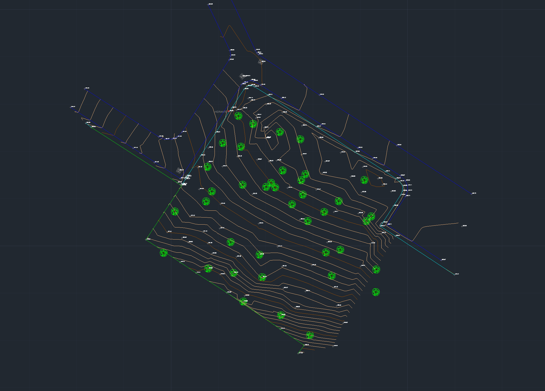 Final topographic CAD map showing tree inventory and site contours (1)