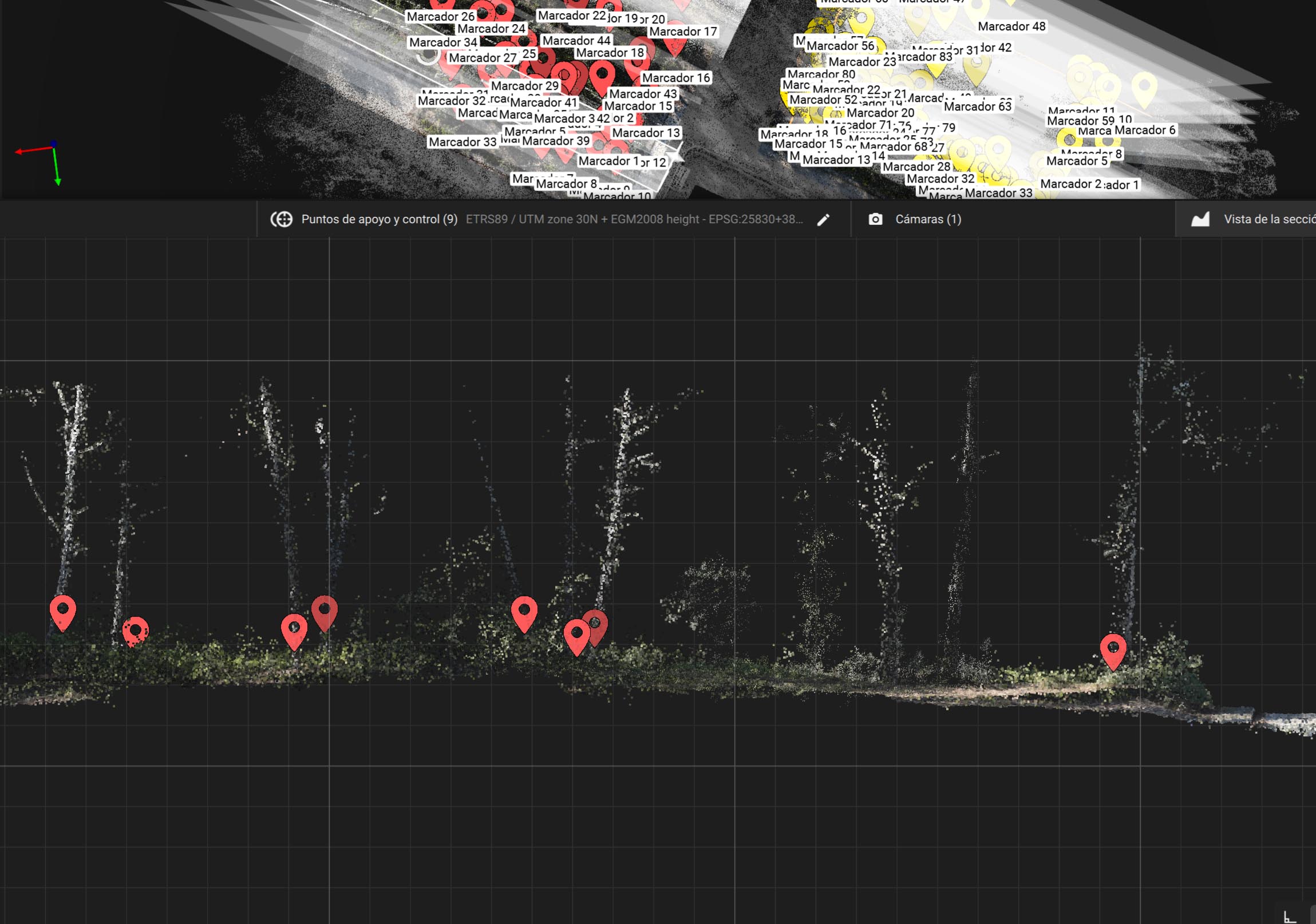 Optimized Cross-section profile of tree trunks and terrain elevation (1)