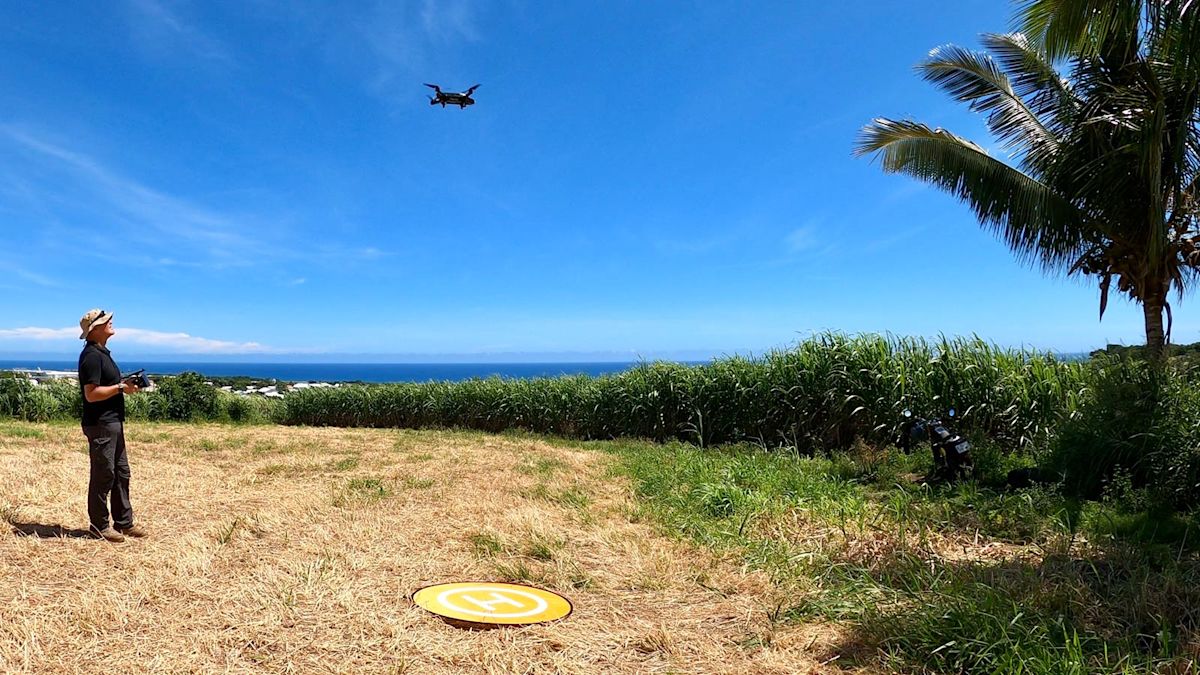 Flying-an-agricultural-drone-ovre-a-field-of-sugar-cane