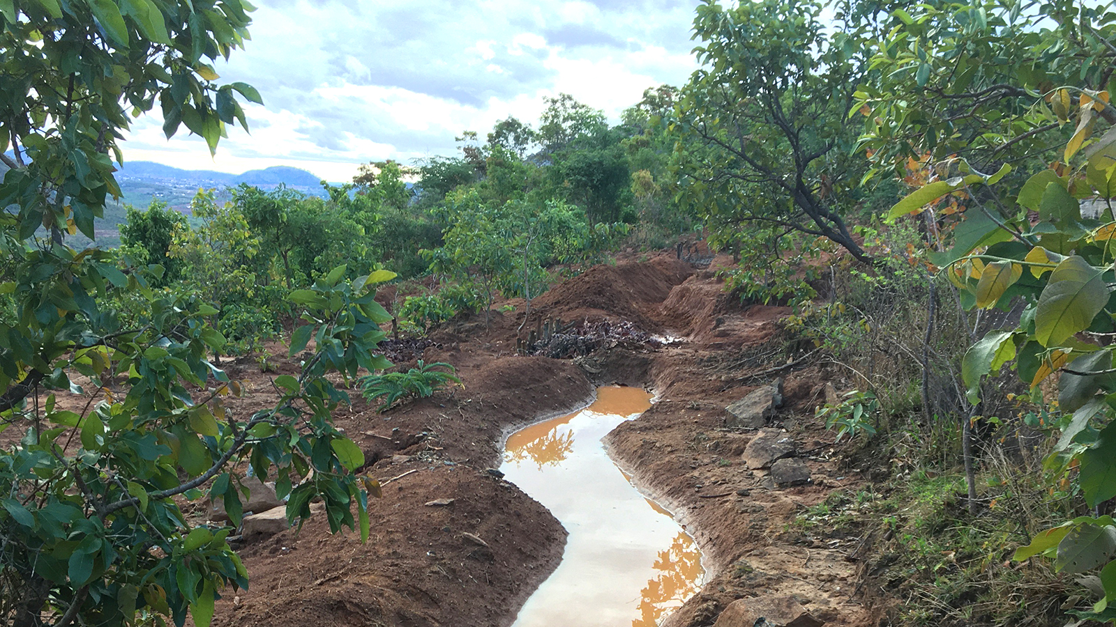 IMA BLOG GEO Fighting soil erosion Malawi