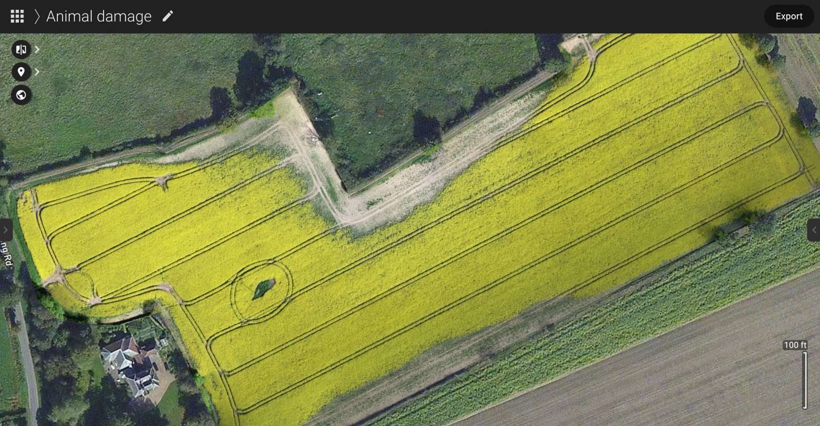 precision agriculture orthomosaic of a canola field