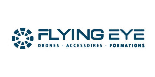 FlyingEye Logo