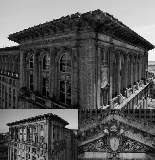 3D model of the Michigan Central Dandelion