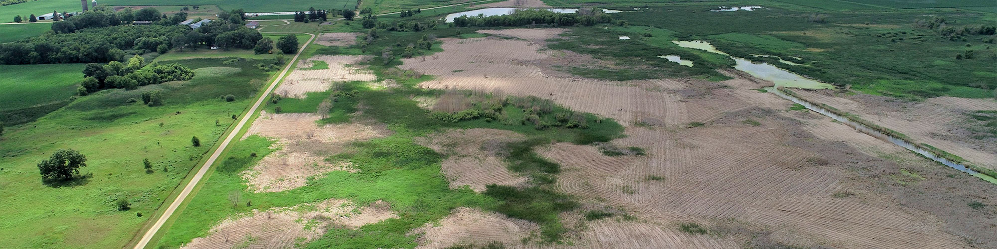 agriculture field