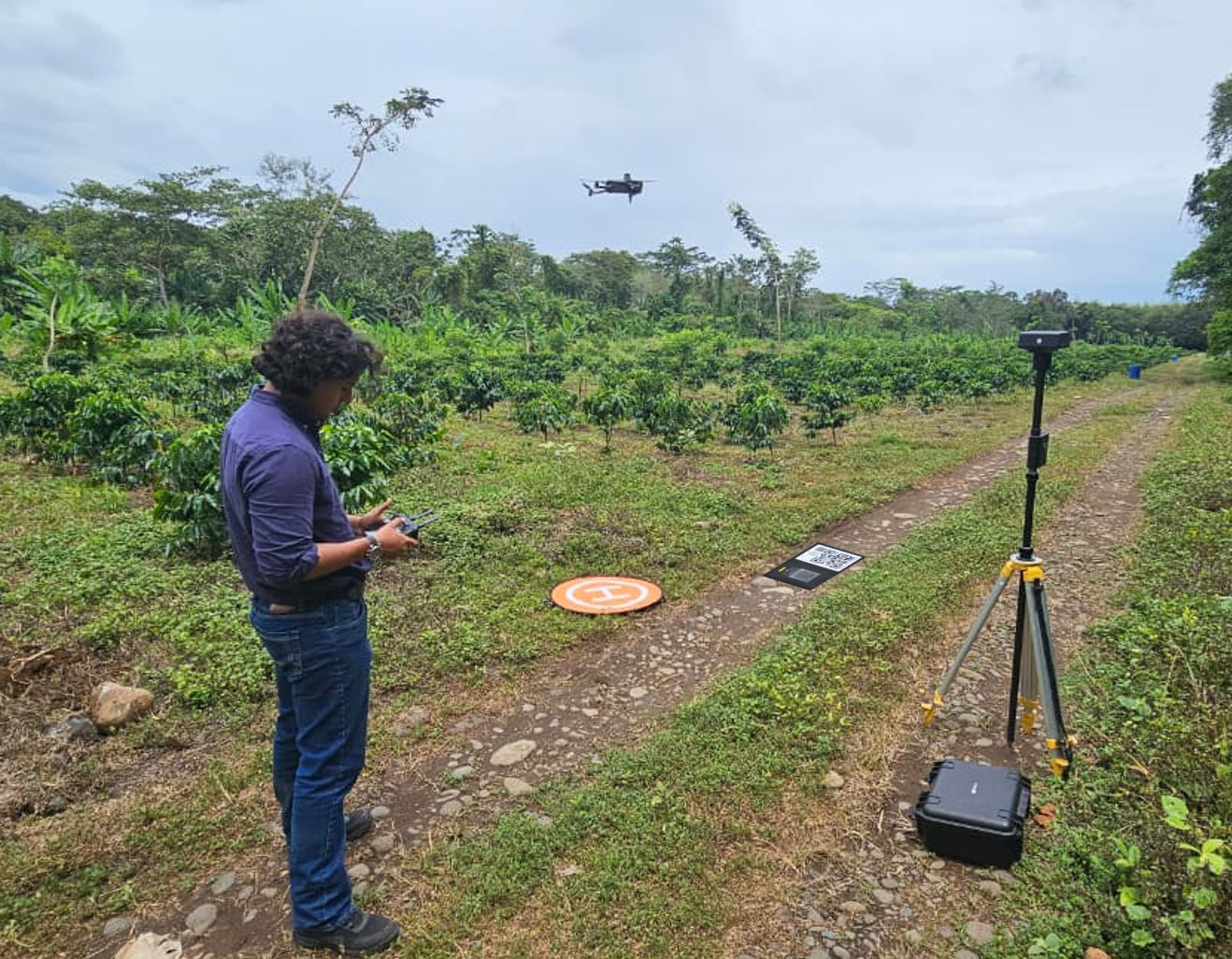 multispectral-drone-mapping-coffee-agroforestry