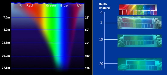 A diagram showing how colors are percieved underwater. Red falls off rapidly, and appears completely black at 20 meters. Only blue and green are clearly visable by a depth of 37 meters.