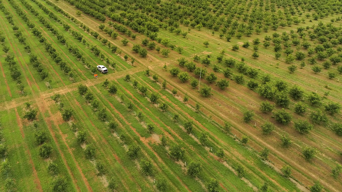 HEA BLOG AGR drone-mapping-high-value-crops-viticulture (1)