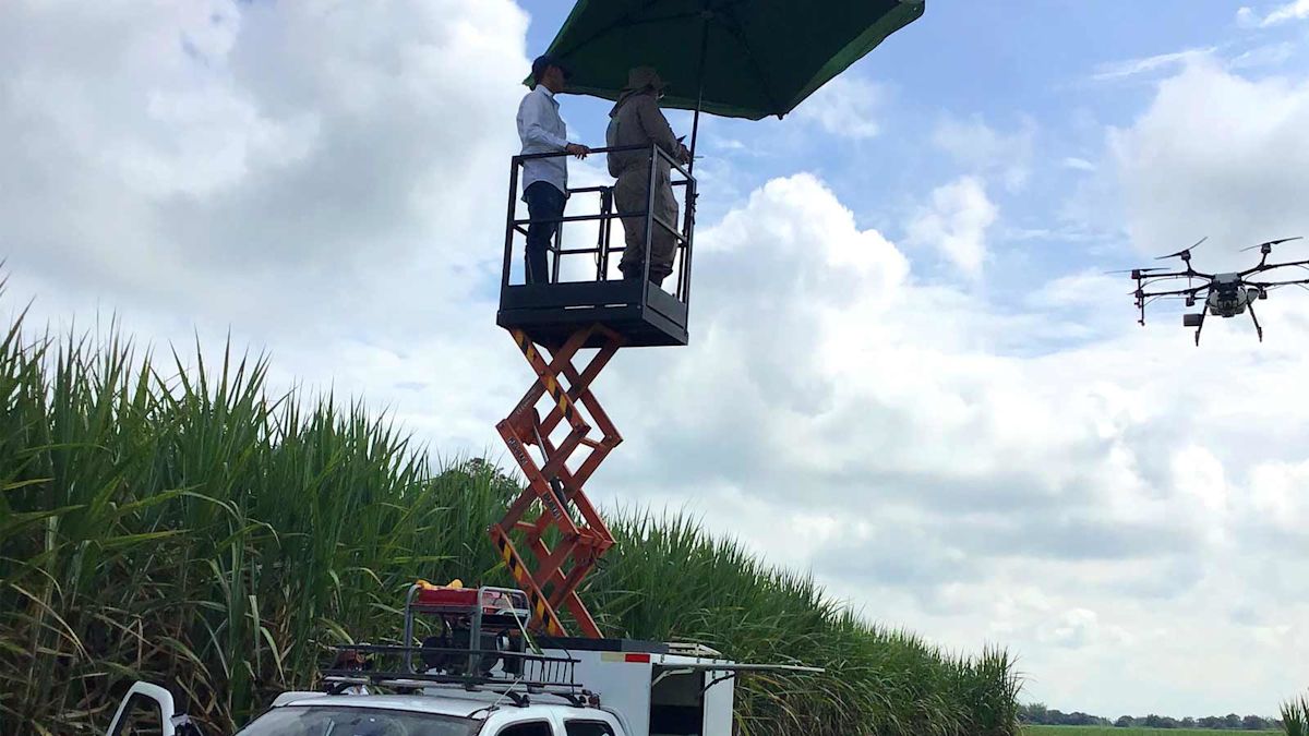 Variable rate application with spraying drones Pix4D