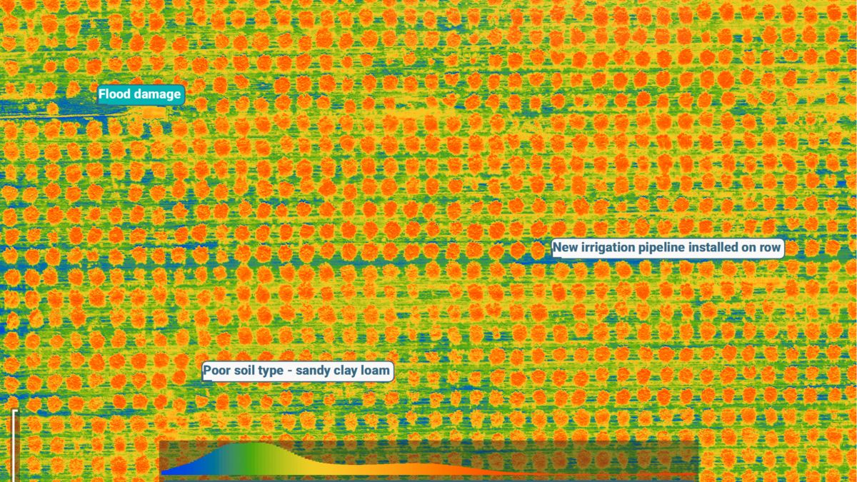 Pix4Dfields annotation tool