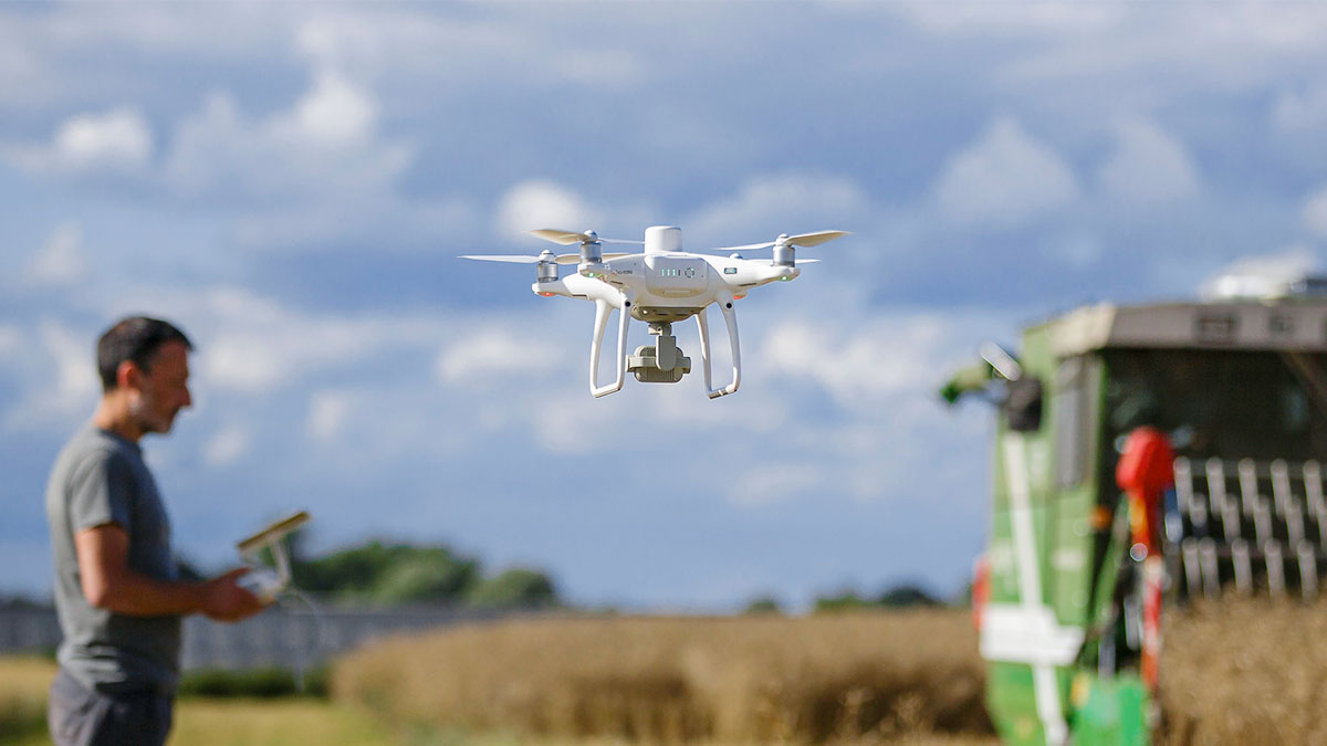 un agrónomo pilotea un dron sobre un sembradío