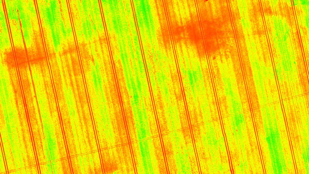 Normalized Difference Vegetation Index 