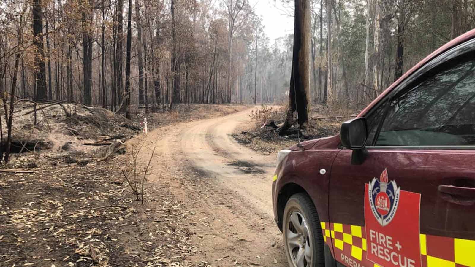 Fire Commander é estratégia com bombeiros