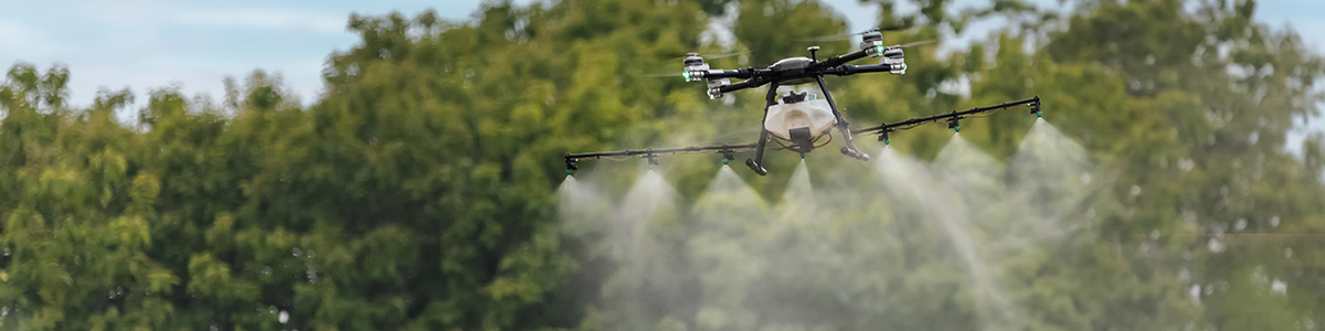 Mapeo de cultivos y malezas con drones, rápido y offline
