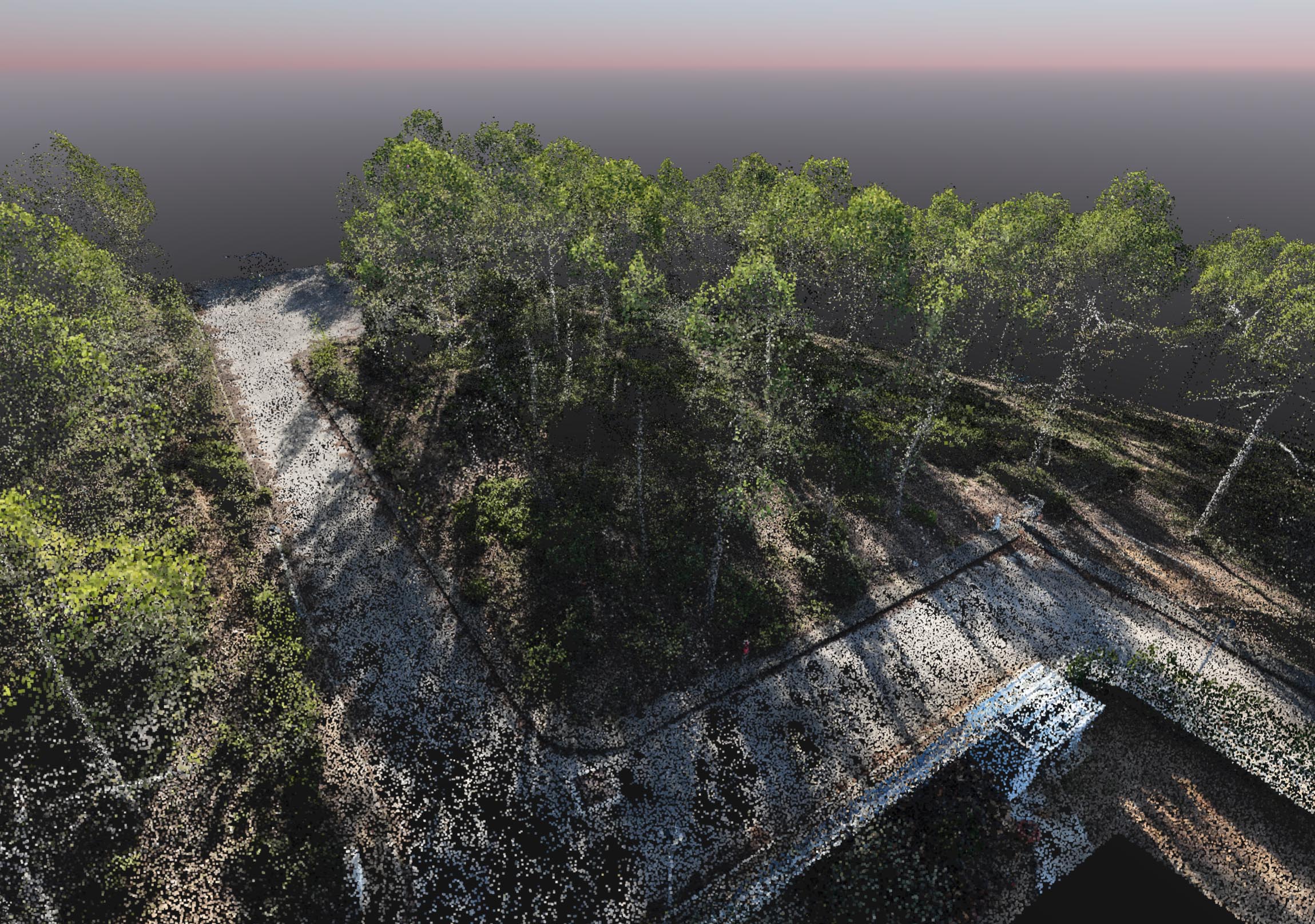 Raw 3D point cloud of dense tree canopy in PIX4Dmatic