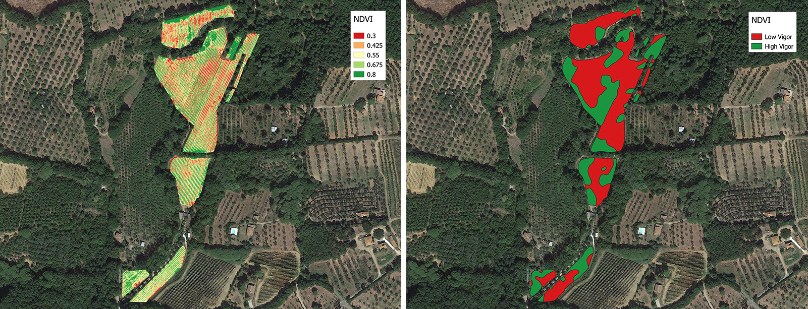 Full vineyard vigor map (NDVI), vineyard zonation map in 2 vigor classes