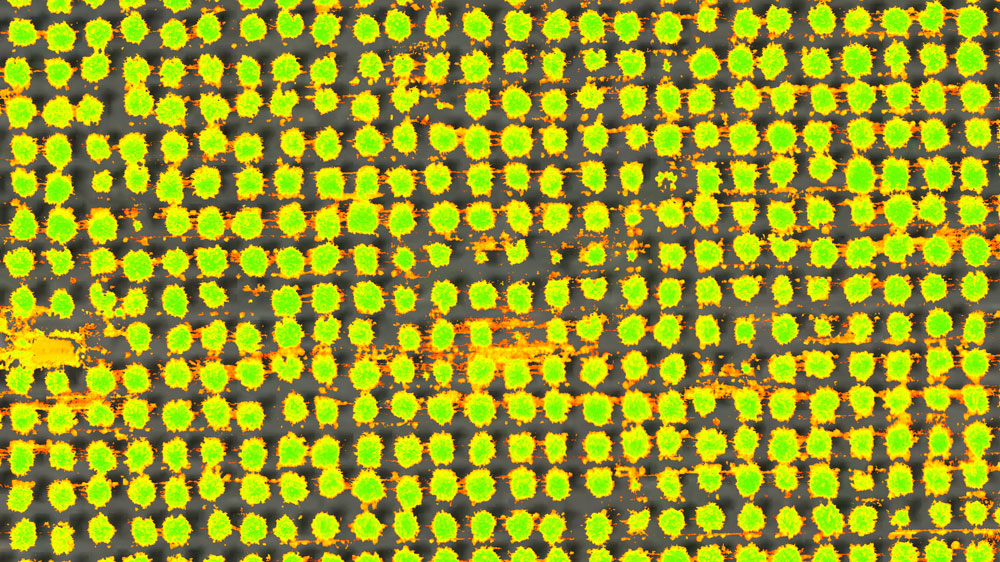 Custom index for soil and vegetation masking