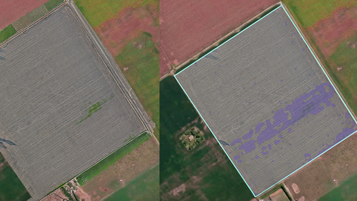 HEA Leonardo Sager use case