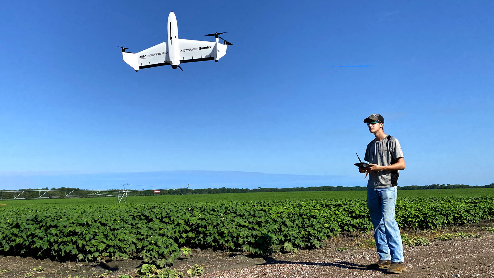 the Quantix Mapper drone flying over the cotton field