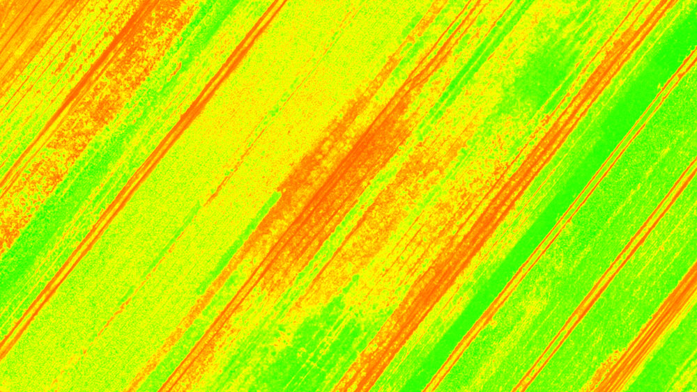 BNDVI – Blue Normalized Difference Vegetation Index