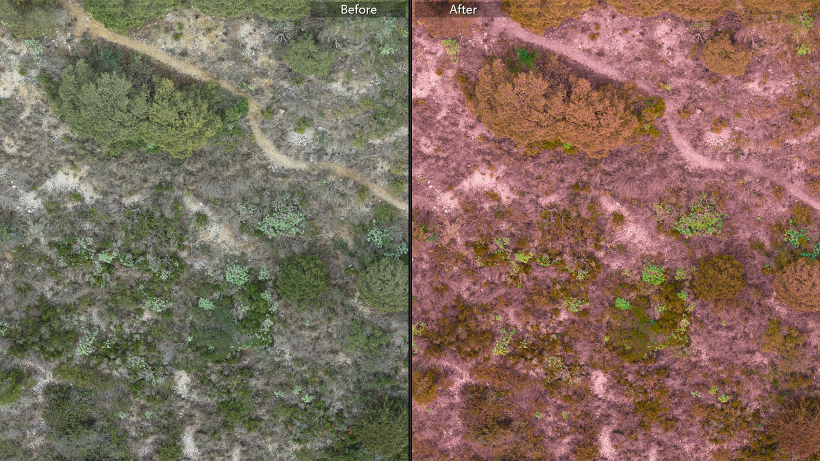 Images comparing color filters