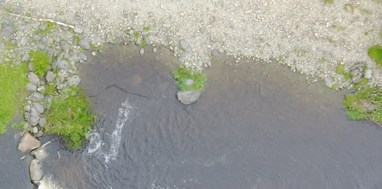 Footprints can be identified immediately in shallow water using drone mapping software by Pix4d