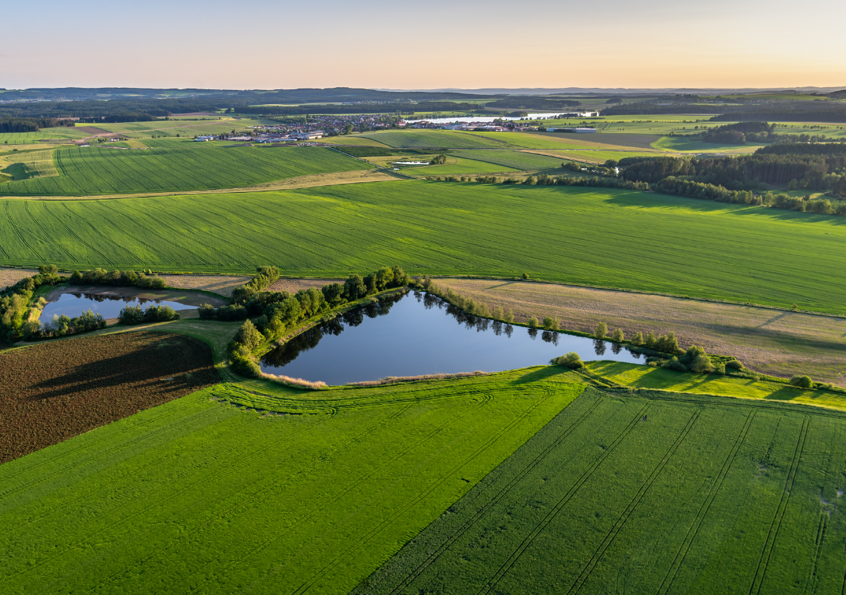Agriculture