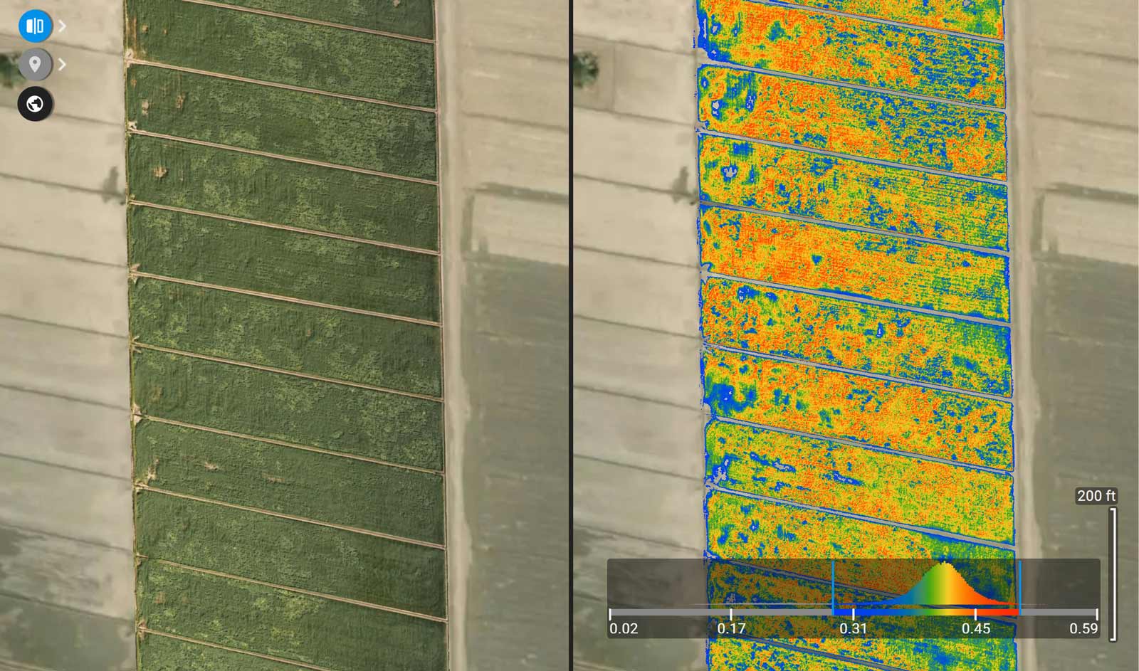 Comparison of the orthomosaic and NDRE vegetation index maps in Pix4Dfields