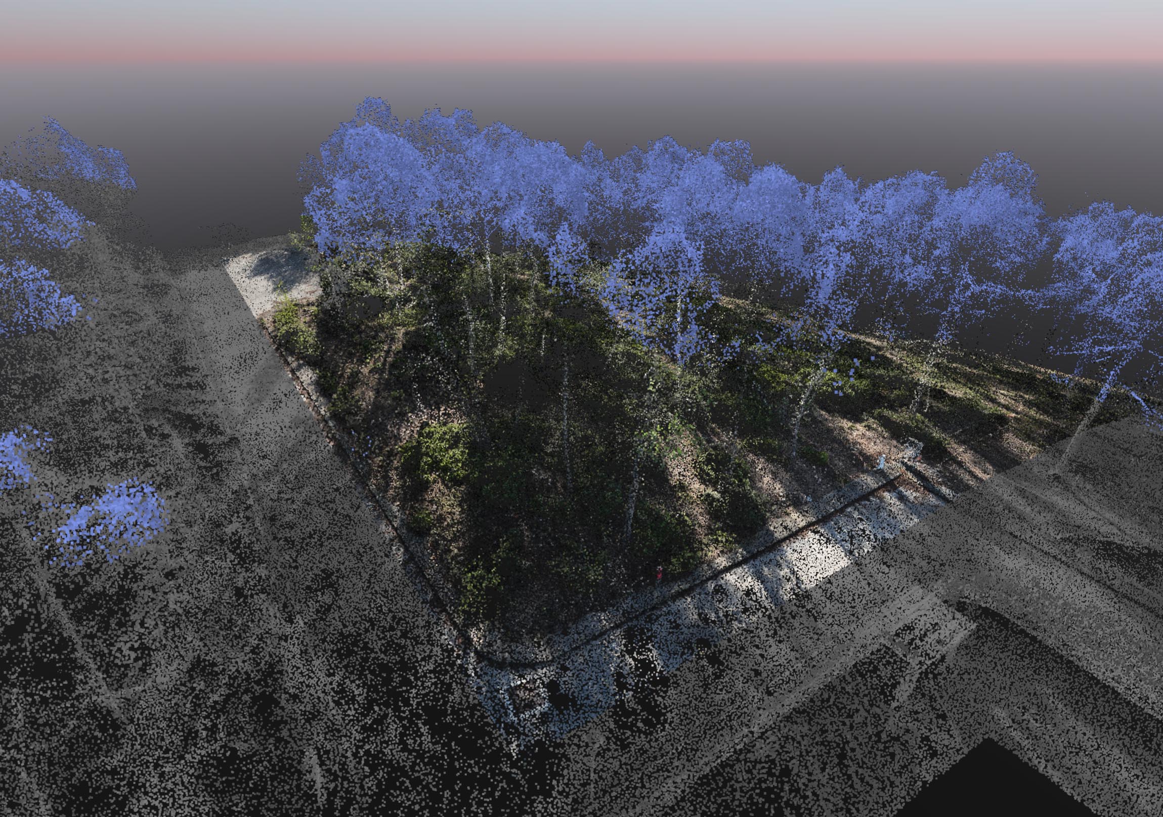 PIX4Dmatic point cloud classification of forest canopy