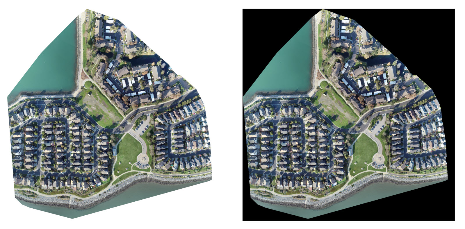 Ortho transparency comparision