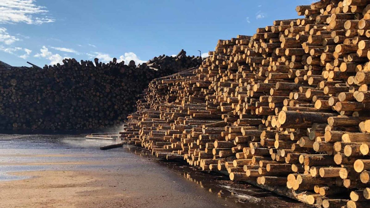 A-stockpile-of-timber-at-a-lumber-yard