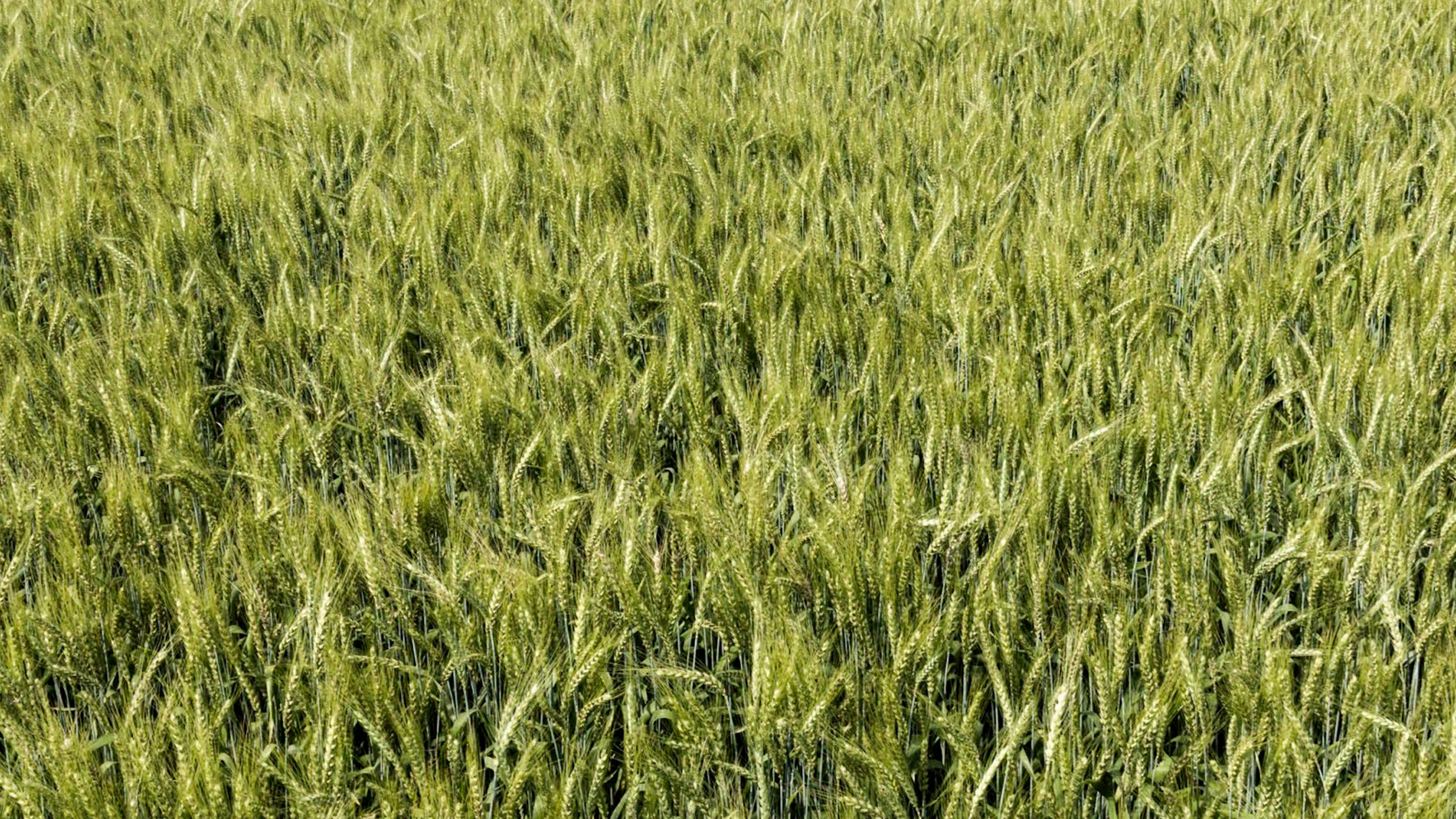 IMA BLOG Agropix use case 1