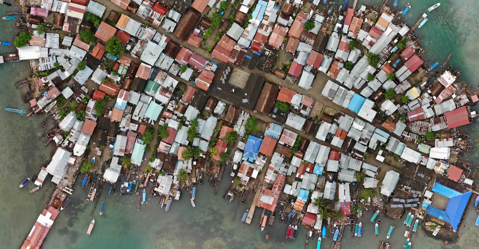 Overpopulated indigenous island