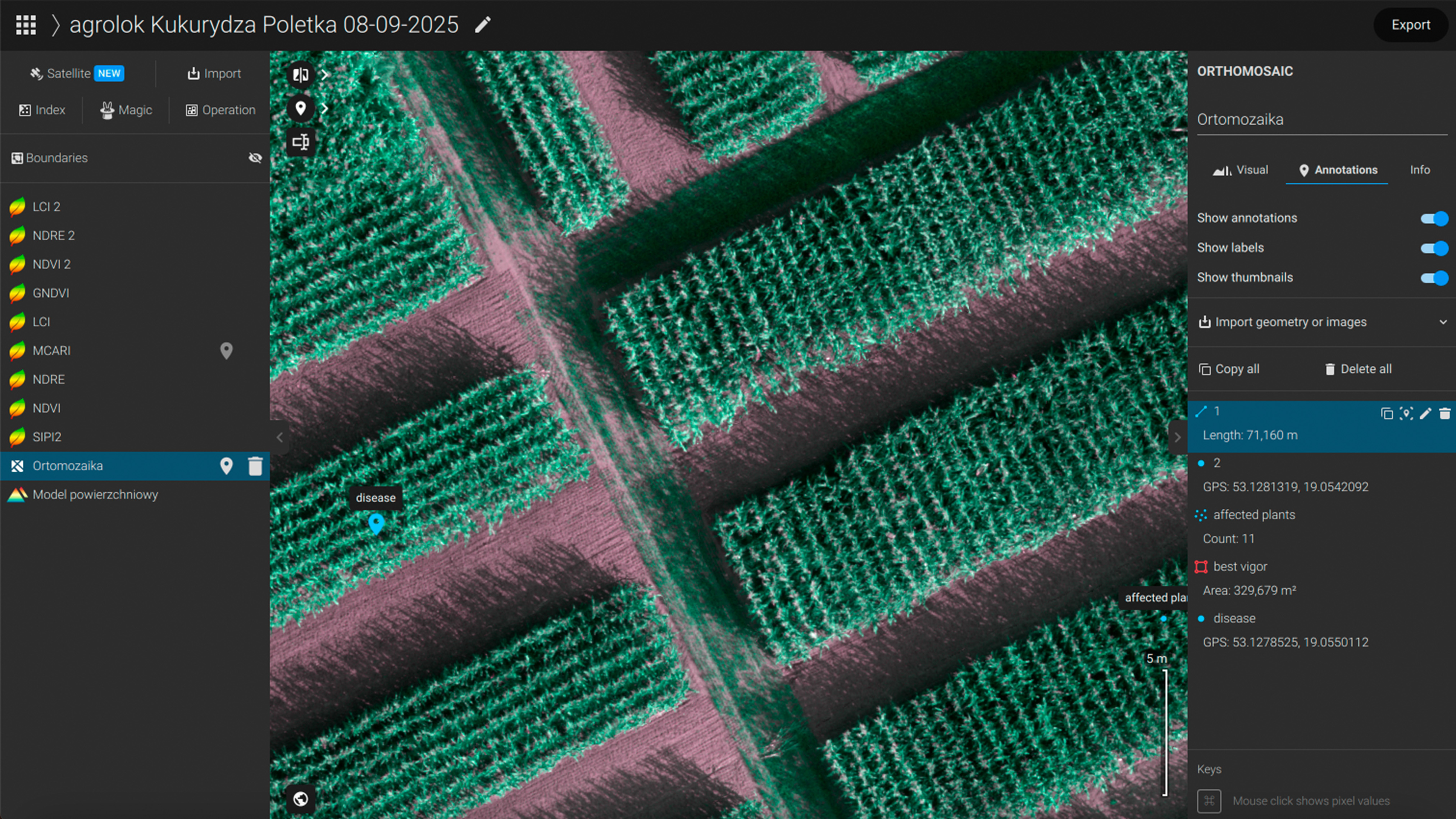 IMA BLOG Elvita use case 2