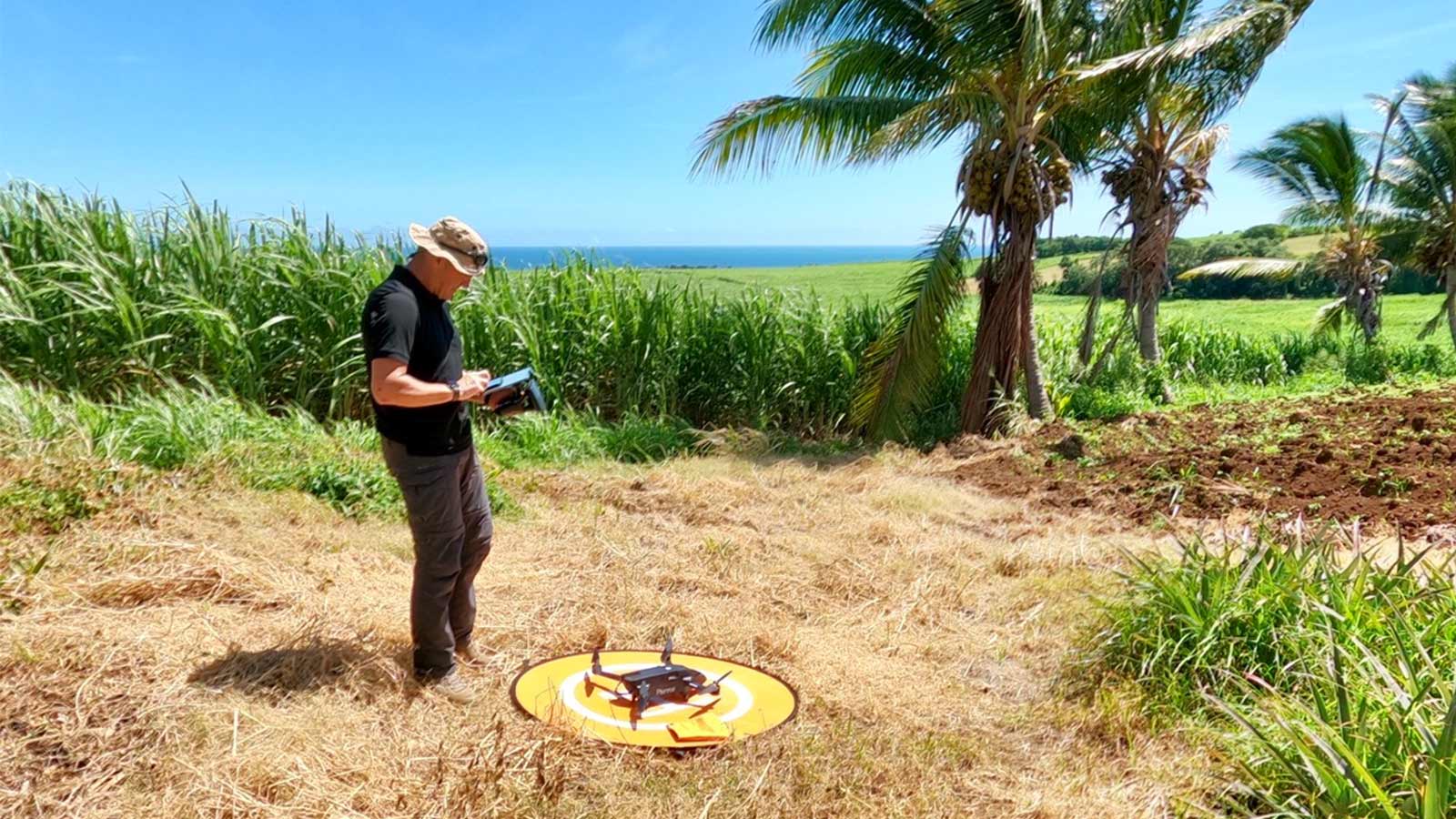 Flying Parrot Bluegrass drone over sugarcane crops in Réunion