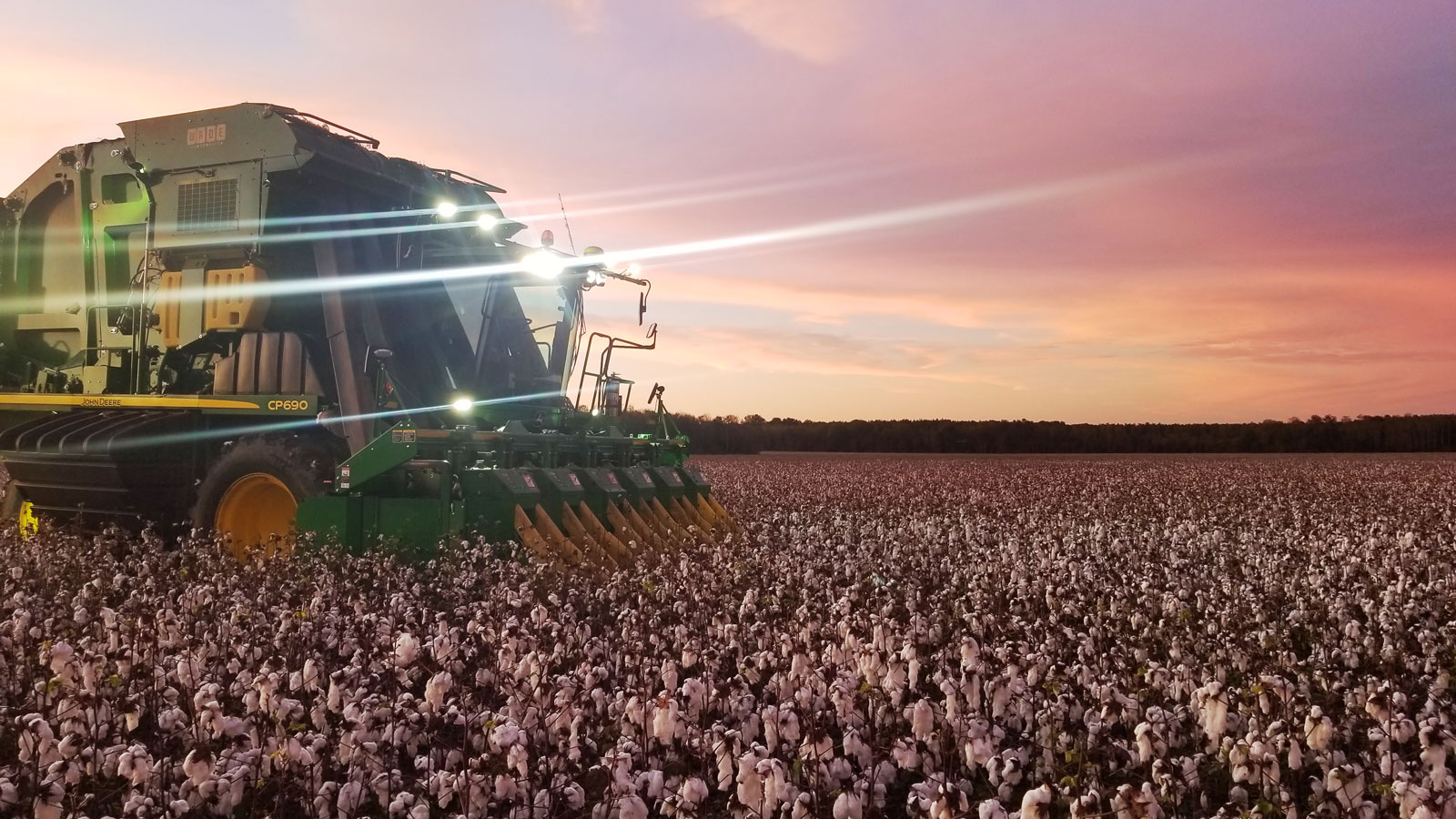 un tractor fumiga un sembradío de algodón en Estados Unidos