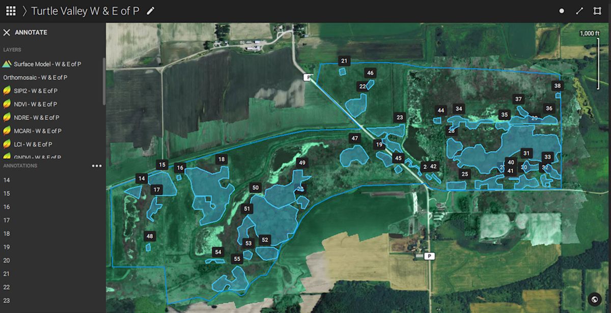 Mapping and spot spraying invasive weeds with drones | Pix4D
