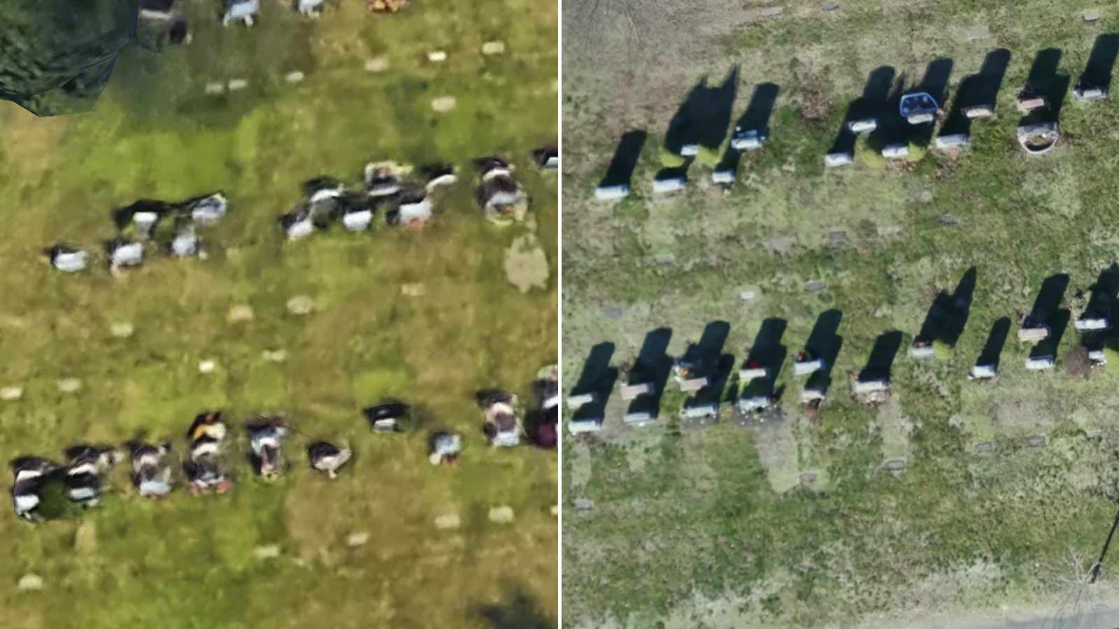 Forest Glade cemetery from Google earth on the left and from Civilview orthomosaic on the right