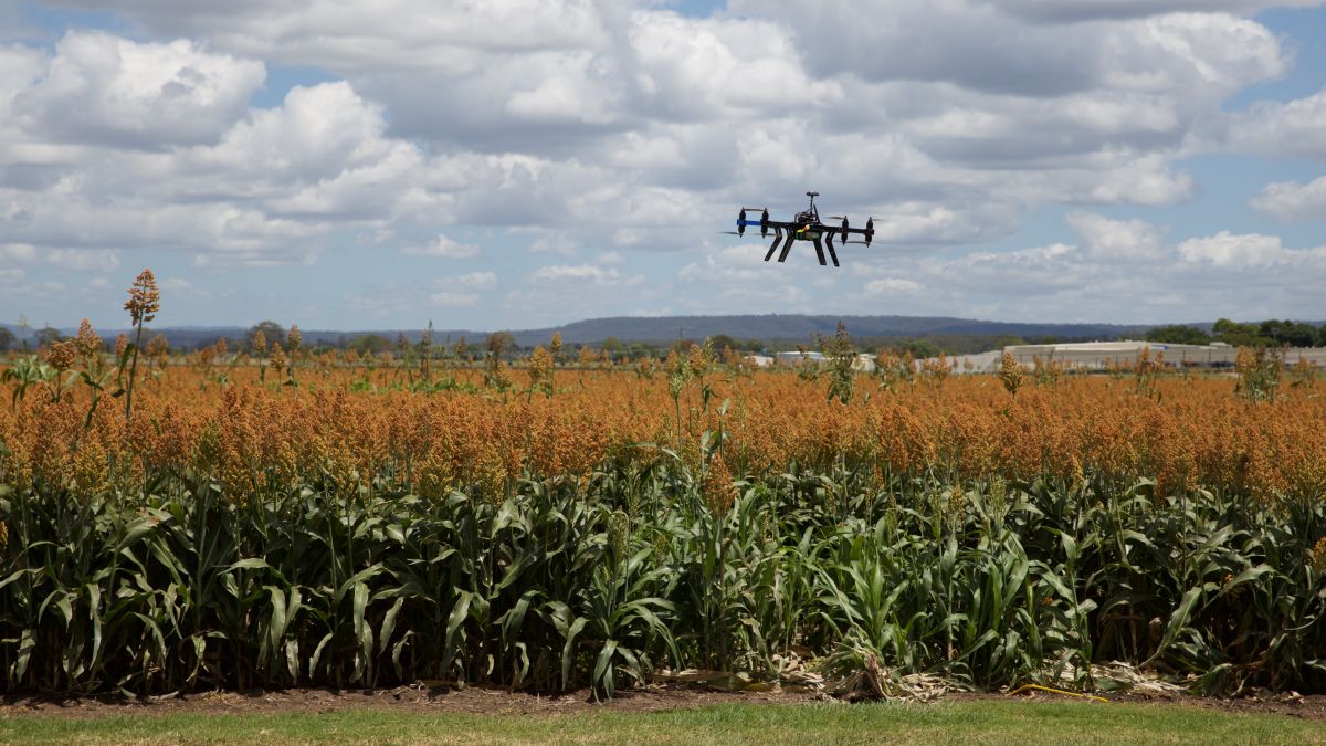 Pix4Dfields webinar drone mapping for agriculture