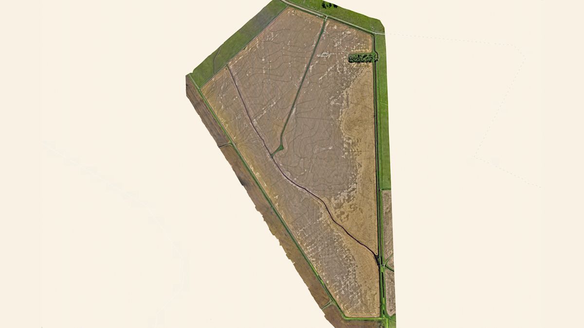 Wind damage detection in rice fields | Pix4D