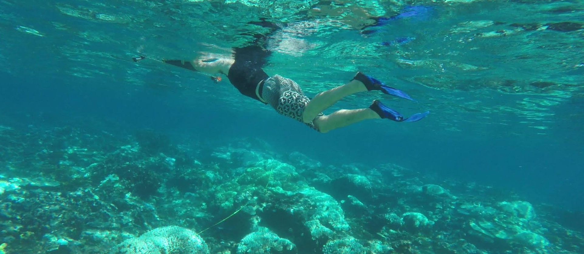 A diver taking images with two GoPro cameras