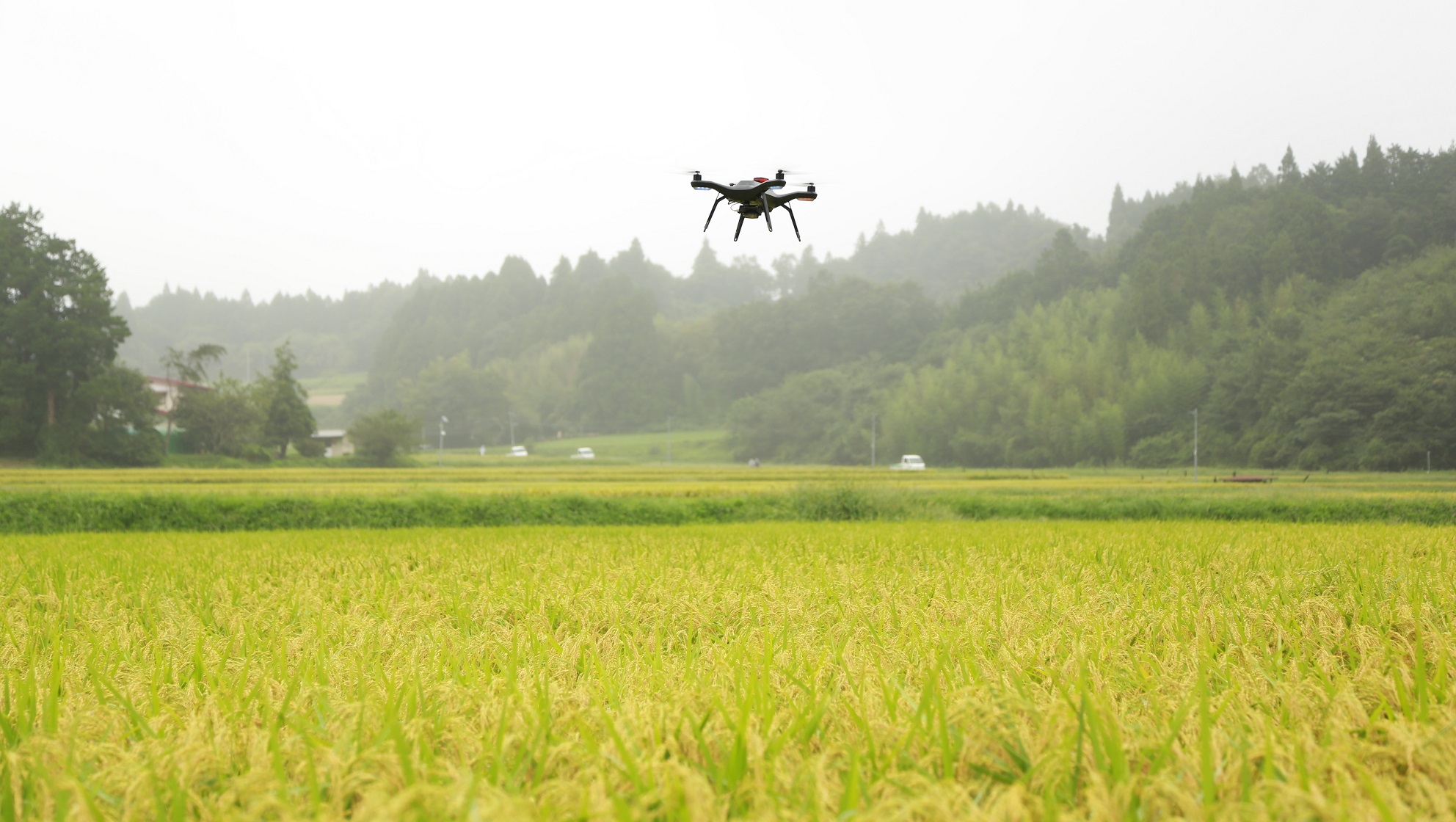 A 3DR Solo flying over the rice field