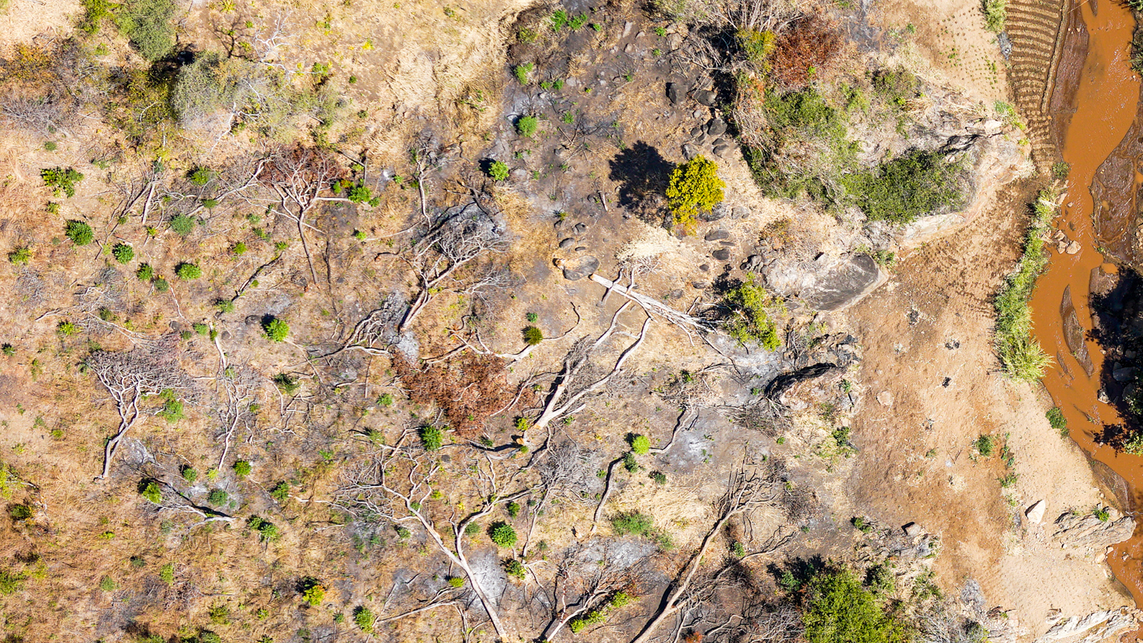 IMA BLO GEO Gold Mapping Use case 1