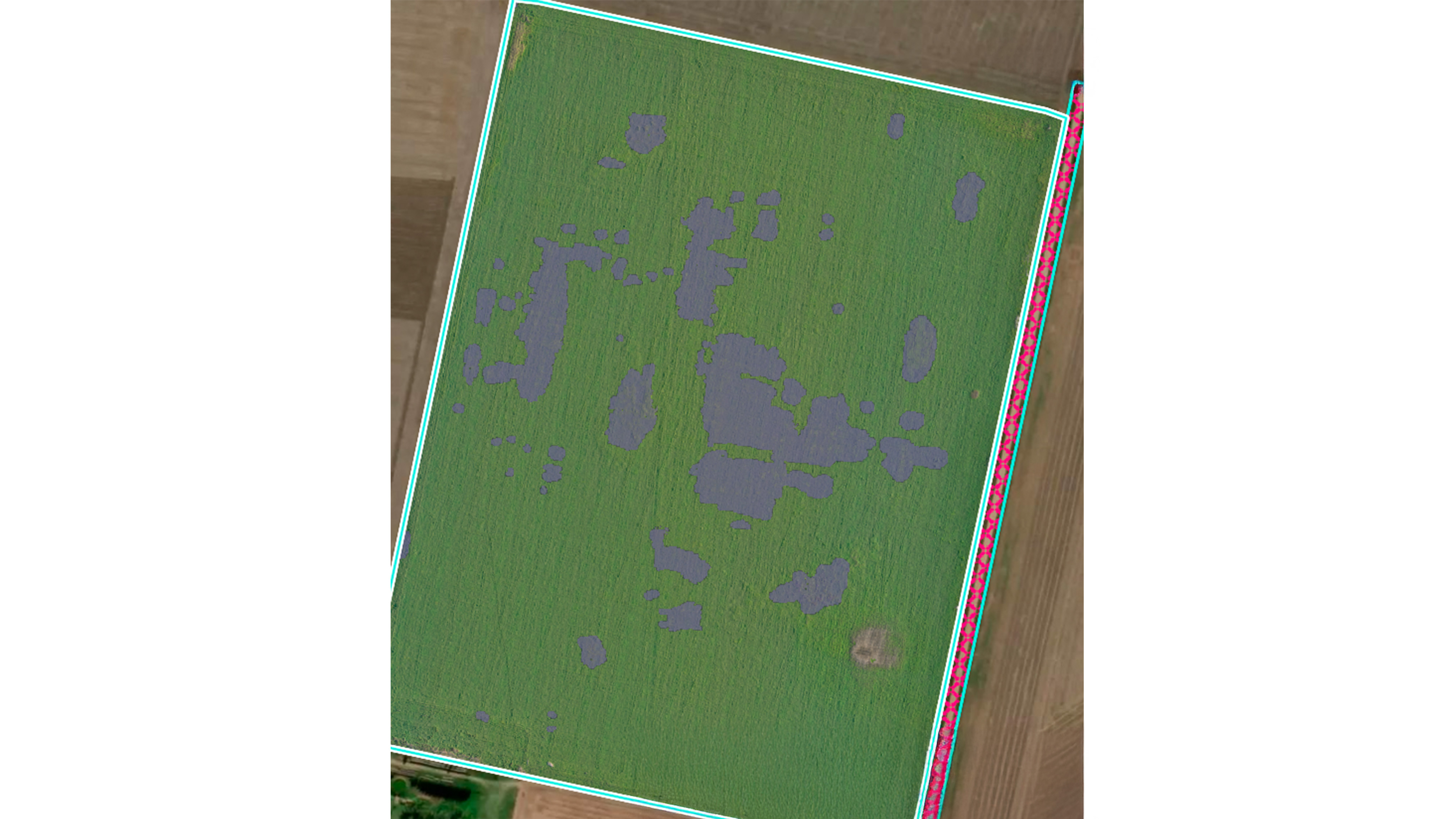 IMA BLOG Leonardo Sager use case 2