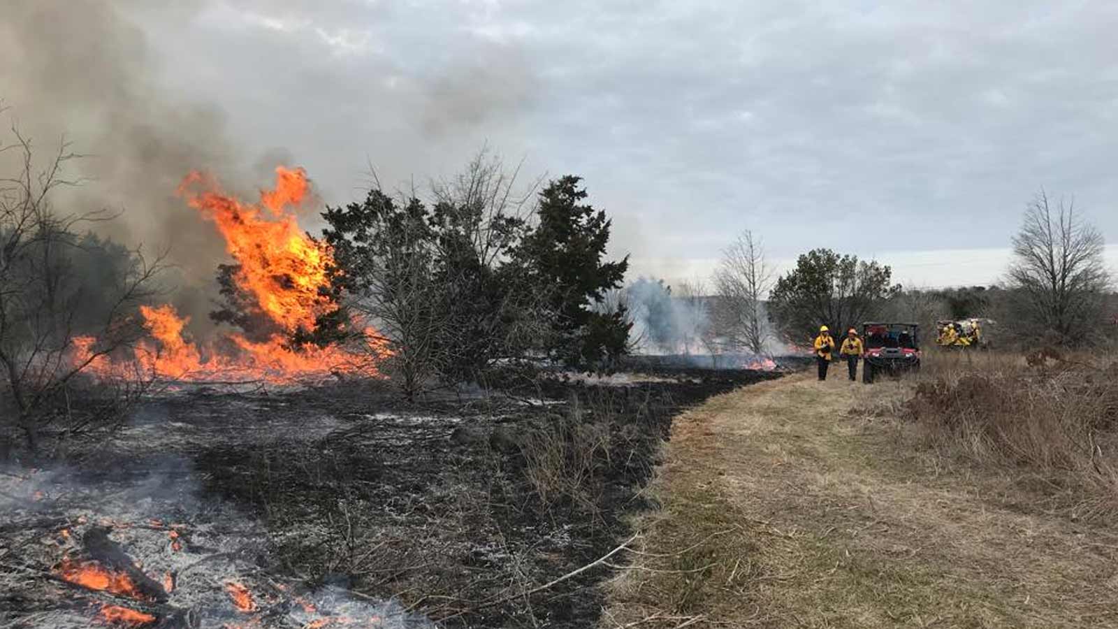 Firefighters-in-texas-undertake-an-RX-burn